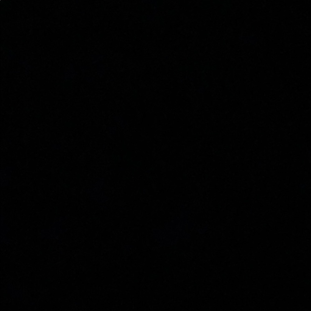 Meet your Posher, Sophia